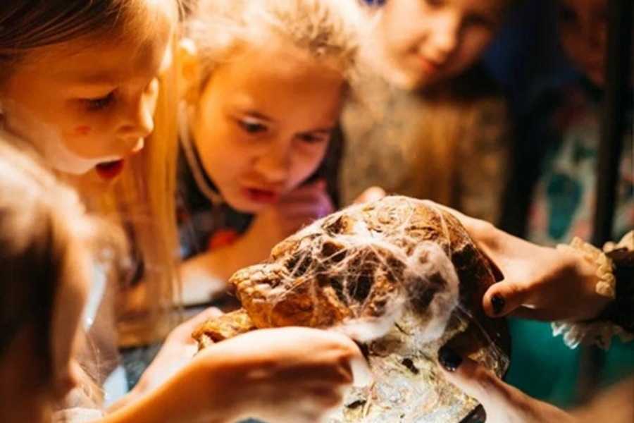 Квест в реальности Доктор Франкенштейн от компании Как в кино Квест в реальности Доктор Франкенштейн от компании Как в кино