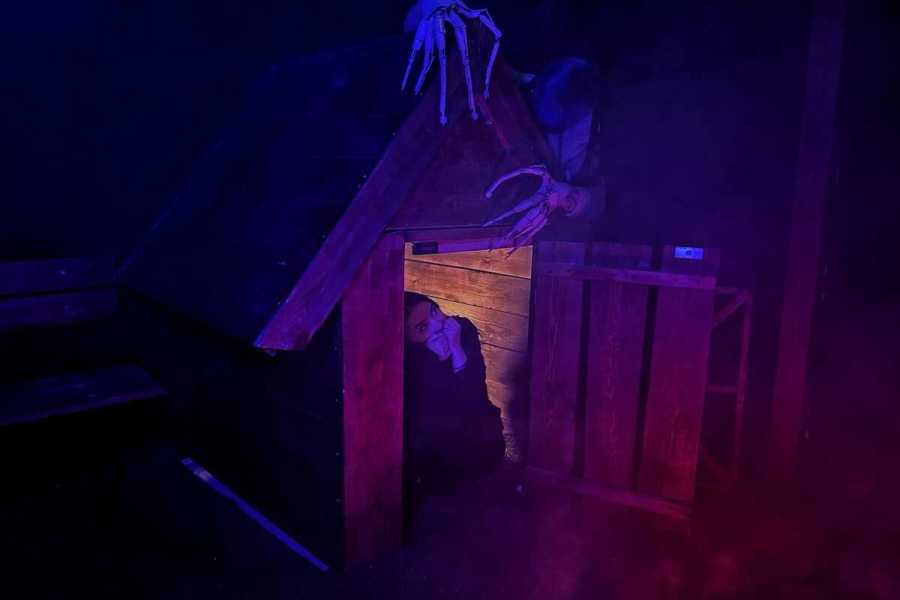 Квест в реальности Астрал от компании Obrazwill Квест в реальности Астрал от компании Obrazwill