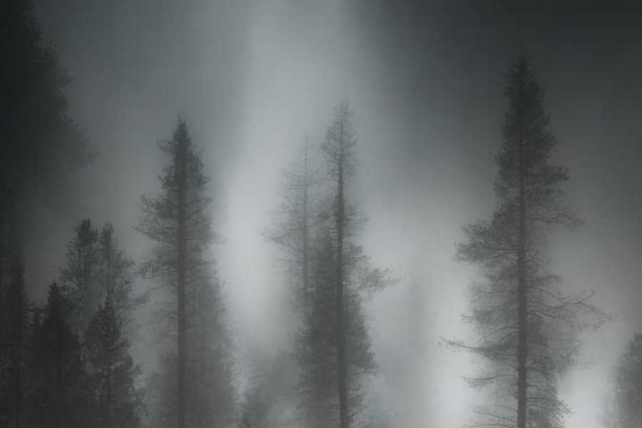 Квест в реальности Paranormal Activity. The Lost Soul от компании PlatformaVR Квест в реальности Paranormal Activity. The Lost Soul от компании PlatformaVR